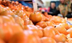 العراق يستورد "حمضيات" من تركيا بـ 197 مليون دولار خلال 2024